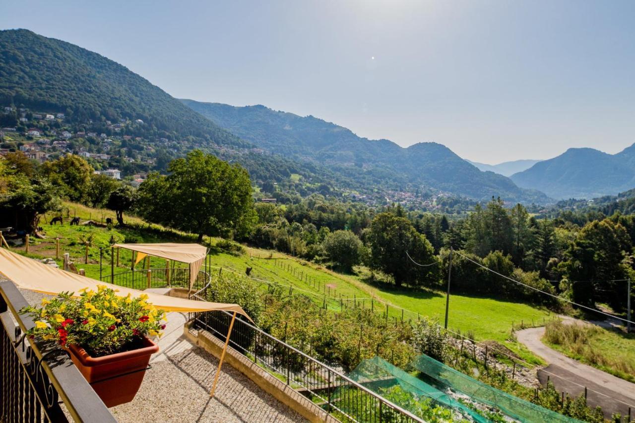 Agriturismo La Cascina B&B Сан-Феделе-Інтельві Екстер'єр фото